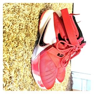 Nike LeBron soldier 9 Think Pink